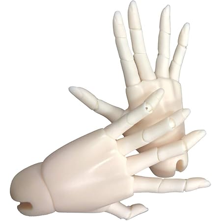 Amazon Perfeclan 柔軟 15関節 可動式 手モデル 1 3 Bjd男性ドールのため 人形ボディ Diyアクセサリー ドールメイキング 通販