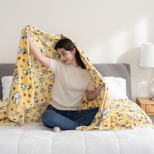 Image of Berkshire Blanket Peanuts VelvetLoft Cute Character Snoopy Plush Blanket,Peanuts Poses and Paws Sundress,Twin 60 in x 90 in (Official Peanuts Product)