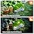 Darkdec Outdoor Figurine Lights Garden House Statue - Outdoor Statues with Solar Lights Garden Cottage Lighting Figurines for Home or Yard Decor