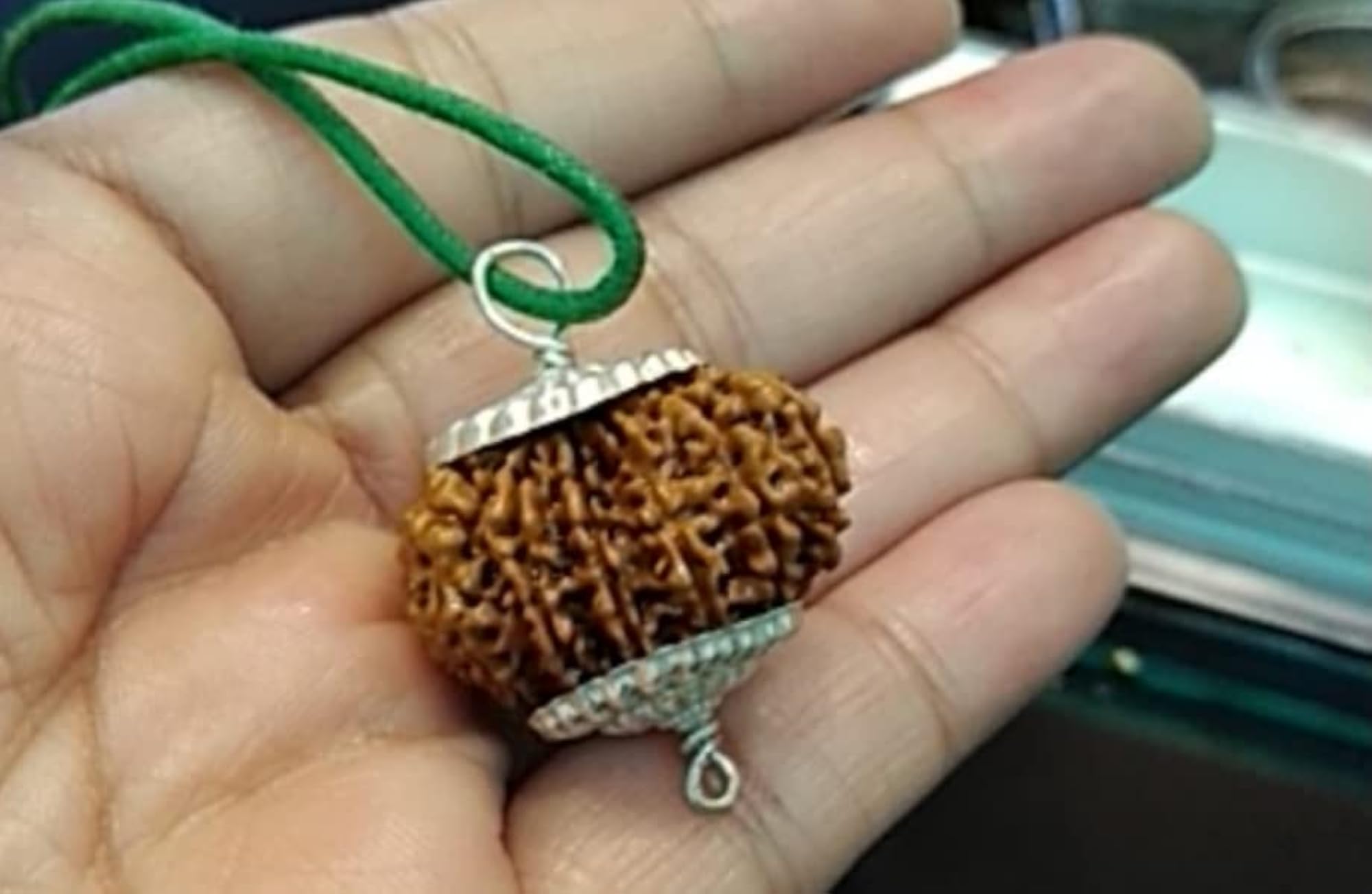 15 Mukhi Nepali Rudraksha Beads, Original Certified