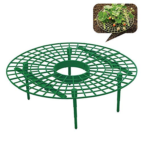 Hinmay Soporte para Fresas, 5 Unidades de Soporte para Plantas de ...