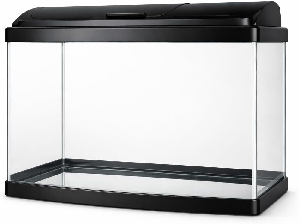 Rectangular Fish Tank