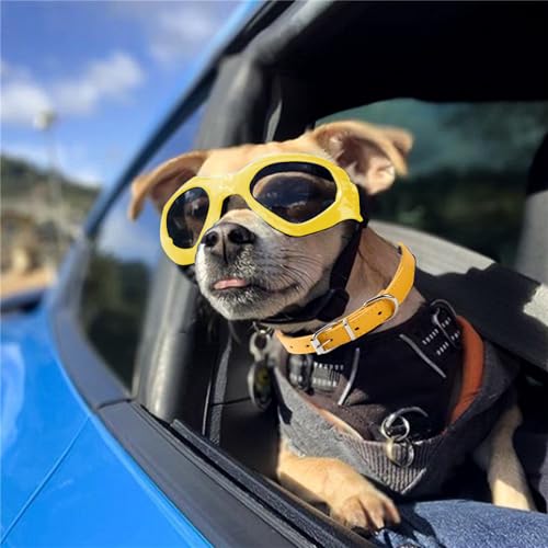 BSITSSS Hundebrille für Kleine Hunde, Hunde Sonnenbrille UV Schutzbrille, Augenschutz, Winddicht Hundesonnenbrille mit Verstellbaren zum Autofahren/Outdoor-Aktivitäten, Gelb