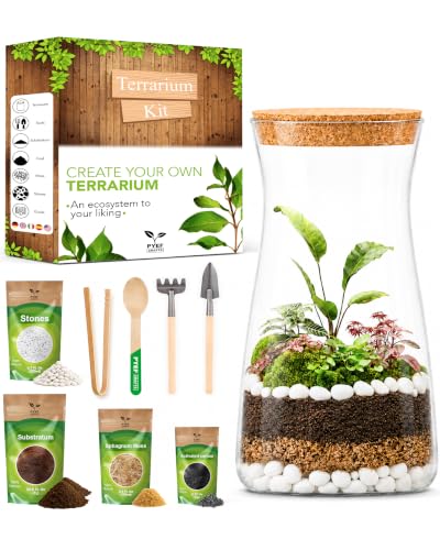 PYEF CRAFTS Terrarium Kit for Plants DIY