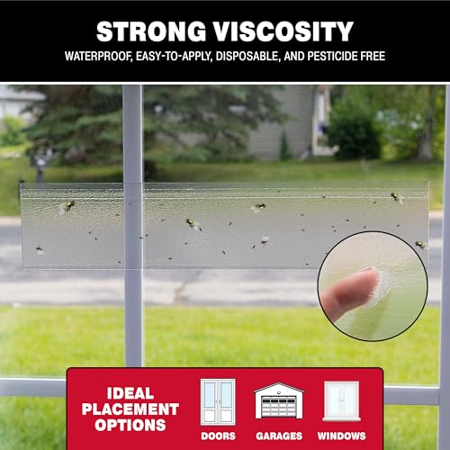 Trampas para moscas de la fruta con pegamento impermeable, atrapamoscas Catchmaster XL sin tóxicos 7
