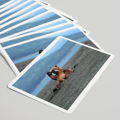 Lantern Press Grizzly Bear Waving, 52 naipes Póker para adultos miniatura 5