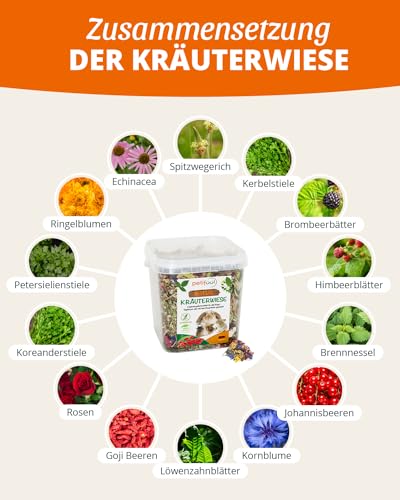 petifool Nager-Ergänzungsfutter Kräuterwiese, natürliches und gesundes Kaninchenfutter, 1er Pack (1 x 380 g)