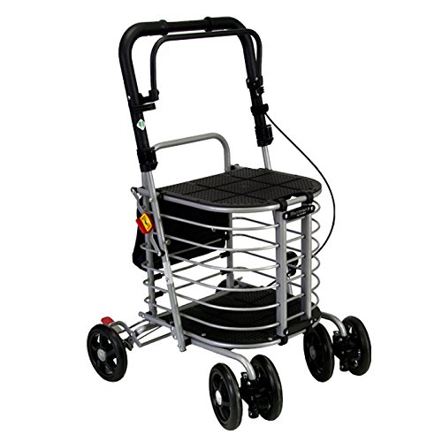 Vo[J[ 艟 n[j[AL 쏊 y  hV̓ 蕨