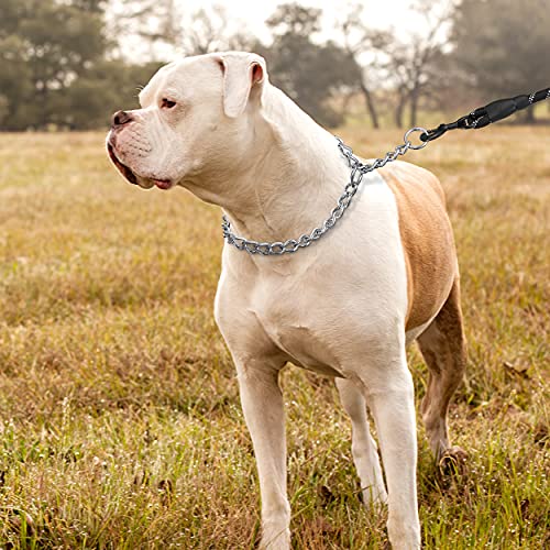 Tagme Chain Dog Choke Collar, Weather Proof Metal Slip Collars Training Choker Collar For Small Medium Large Dogs Breed #TOP5