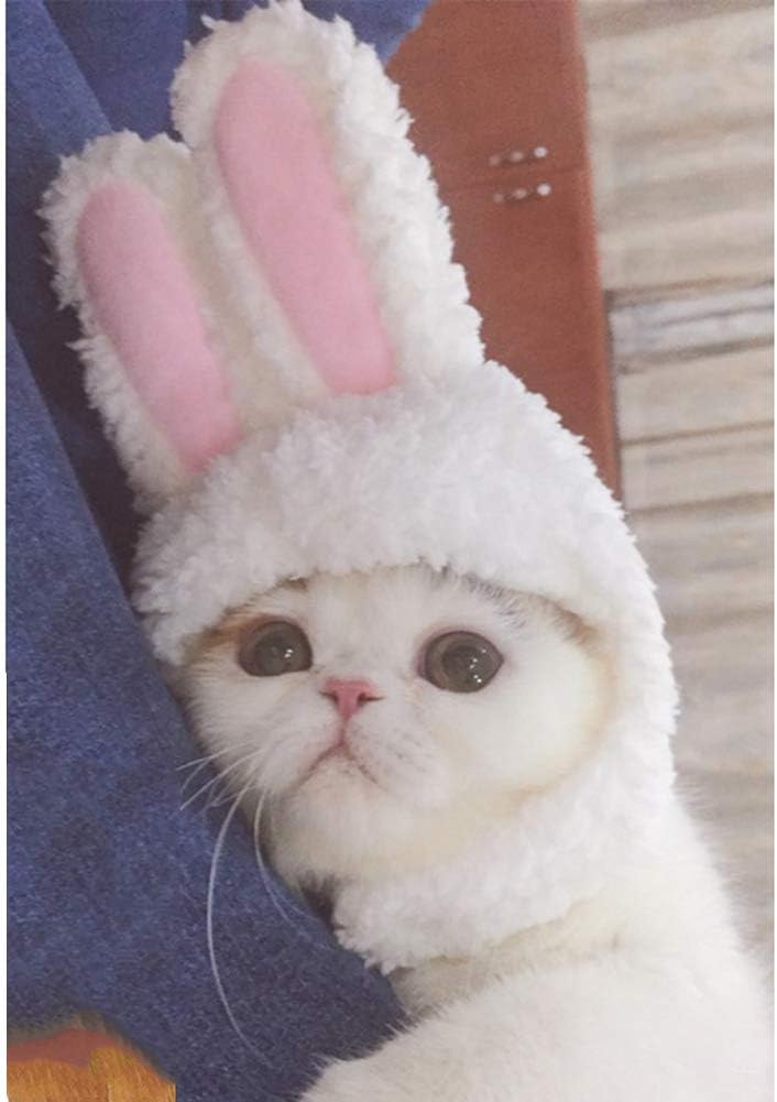 Cuteboom Cat Rabbit Hat Kitty Bunny Costume Small Cat Easter Costume Small Pet Halloween Birthday Cap(Cat Hat)