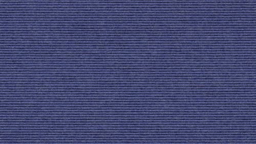 Tretford Teppichboden Ever 2 Meter Breit vorgegebene Größen Größe 250cm, Farbe 592