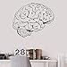 Produktbild Brain Mind Anatomy Intellekt Wissenschaft Medizin Doktor Kunstwand-Wandaufkleber 57 * 47Cm