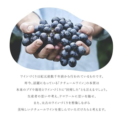 ナチュール ワイン レ ザスレット デュ ヴァン 4本セット