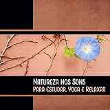 Natural Energy Booster