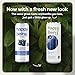 Happy Being Blueberry White Tea – Antioxidant & Polyphenol Rich, Infused with Turmeric, Elderberry, Caffeine Free, Plant-Based, Low Sugar & Low Calorie Drinks, 12oz (4 Pack)