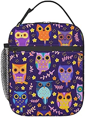 WOAIDY Lunch Box Insulated Lunch Bag Tote Cooler Bag for Office Work, Purple Owl Print
