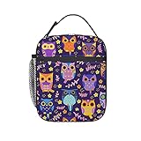 WOAIDY Lunch Box Insulated Lunch Bag Tote Cooler Bag for Office Work, Purple Owl Print