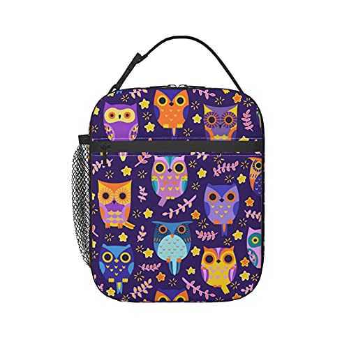Woaidy Lunch Box Insulated Lunch Bag Tote Cooler Bag For Office Work, Purple Owl Print #TOP7