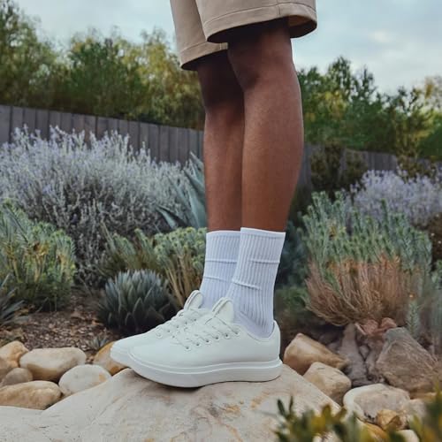 Allbirds Allbirds Men's Canvas Piper Everyday Court Sneakers - Natural Black (Blizzard Sole) - 10 Medium