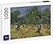 Lais Puzzle Vincent Willem Van Gogh - Olivar 1000 Piezas
