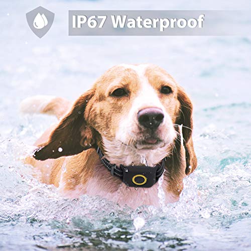 O-CONN-GPS-Dog-Tracker-Health-and-Location-Tracker-for-Dogs-Waterproof-Dog-Tracking-Smart-Collar-Device-4G-LTE-US-Coverage-Nationwide
