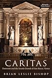  CARITAS: Tintoretto and the Scuola Grande di San Rocco, Venice