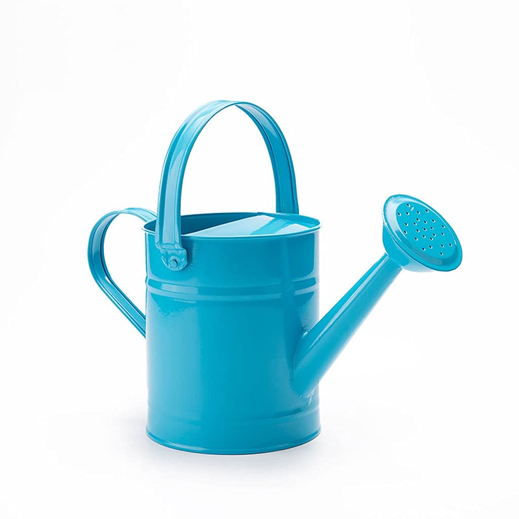 Regadera Riego Puede Lamento de Hierro liviano Acero de Acero regado de regadera, Mango Superior y Acentos de Cobre Azul Verde Azul Regar Plantas pequeñas (Color : Blue)