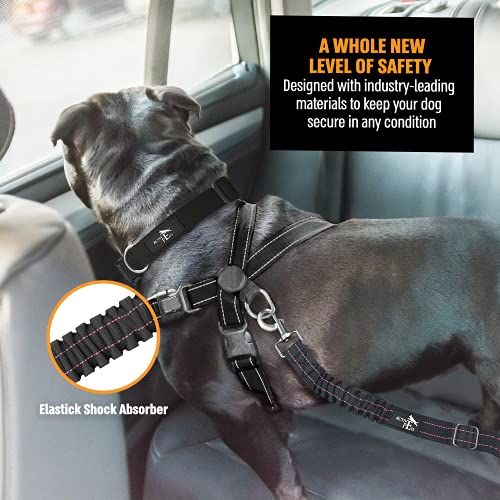 Image of Active Pets Dog Seatbelt, Adjustable Safety Dog Seat Car Harness, Dog Seat Belt for Pets - Durable Dog Seatbelts for Cars - Dog Car Seat Belt for Dogs, Dog seat Belts for Large Dogs, Medium, & Small
