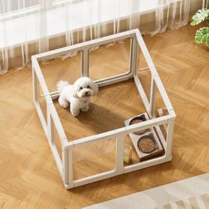 Top-Rated Foldable Exercise Pen — Best Overall