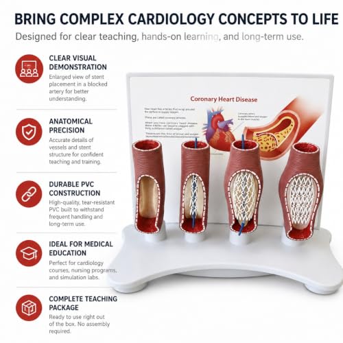 Arteria coronaria ampliada en PVC con simulación didáctica de bloqueo coronario 3