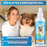 BluePet 200 ml Entfilzungsspray für Hunde & Katzen I Löst Verfilzungen & Verbessert Kämmbarkeit, Anti Filz Spray als Fellspray für Fellpflege, Glätten & Pflegen mit Aloe Vera, Shea-Butter & Jojobaöl