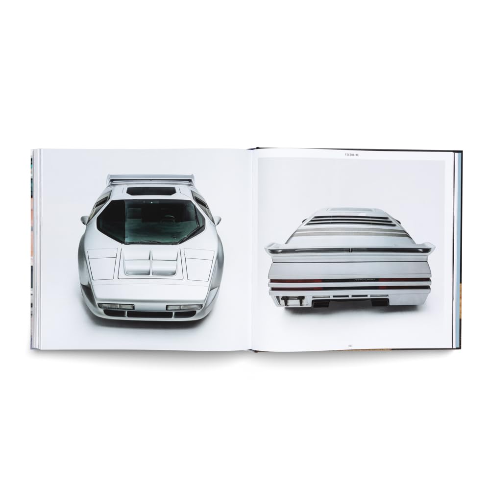 The Americans – Beautiful Machines: The Most Iconic US Cars and their Era (Beautiful Machines: The Most Iconic Cars, Band 3)