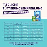 Edgard & Cooper Nassfutter für Hunde (Lamm & Rind, 400g x 6), Getreidefrei, natürliche Zutaten und frisches Fleisch, voller essentieller Aminosäuren