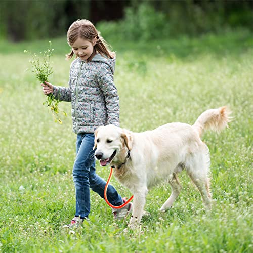 Lynxking SN6FBR Dog Leash Slip Lead Snap Hook Rope Leash Strong Heavy Duty Braided Dog Training Leash No Pull Training Lead Leashes thumb #4