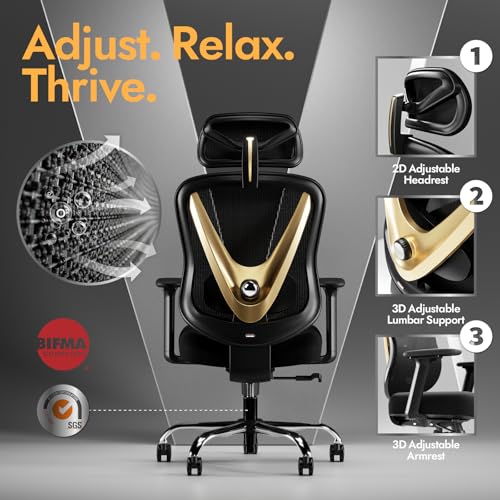 Image of HOLLUDLE Ergonomic Mesh Office Chair - 3D Adjustable Lumbar Support & 3D Armrests, V-Shaped Back, Adjustable Desk Chair for Office & Home, Black and Gold