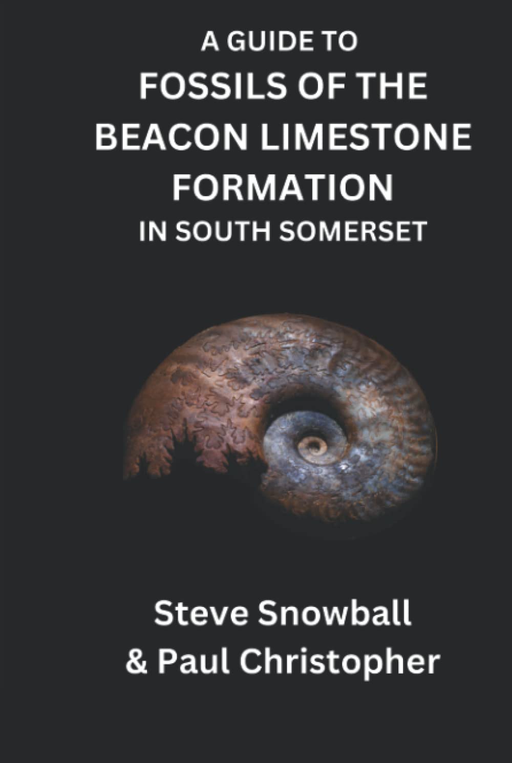 A Guide to Fossils of the Beacon Limestone Formation in South Somerset