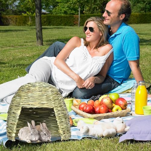 Hierba de animales pequeños para el descanso de cobayas 5