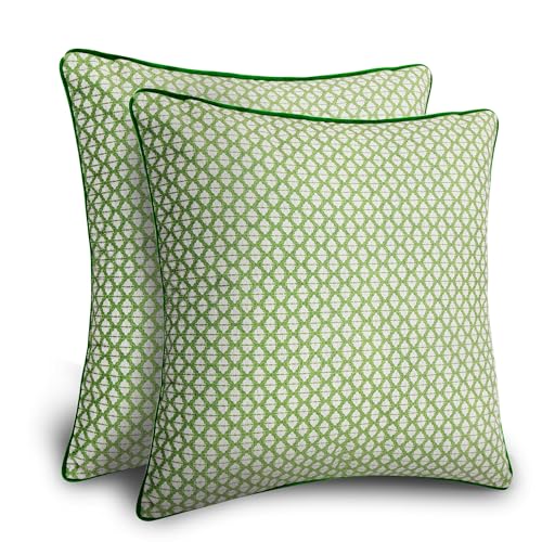 Balios Velvet Pillow Covers Set of 2, Decorative Cushion Covers for Sofa Couch, Hidden Zip, Covers Only, London Design – 18" x 18" (45 x 45 cm), Wyndham Trellis in Sage Green