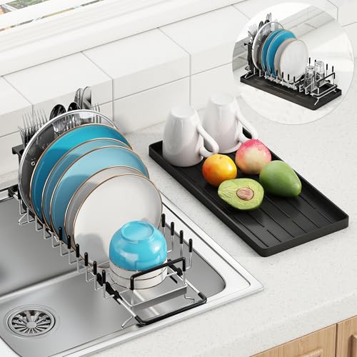 ANTOPY Compact Stainless Steel Dish Rack