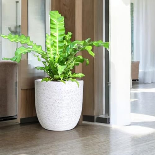 Image of Amazon Brand - Umi 10 Inch Large Plastic Planter Pot for Indoor Outdoor Plants | Big Size Garden Gamla UV Resistant Polymer Flower Pot | White Decorative Pot for Balcony, Garden, Terrace & Home Decor