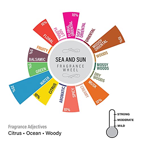 Image of EKAM Sea & Sun Scented Votive Candle - 40 Grams Each - 10 Hours Burn Time - Ideal for Diwali, Home Decor & Gifting