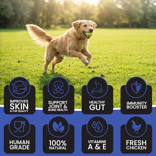 Image of Dr.Pets Gluten & Preservative Free Dog Wet Food (Gravy) | Balanced Meal with High Protein Chicken & Liver Chunks for Adult Dogs & Puppies | No Added Sugar & Paraben | 85 g (Pack of 12)