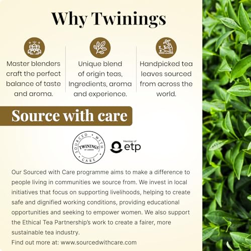 Image of Twinings Earl Grey Tea, 100 Tea Bags| Pack of 1| English Classic Range| Premium Black Tea| Light Strength| With Citrusy Notes of Bergamot|Mild & Refreshing Flavour| Enjoy as Hot or Iced Tea