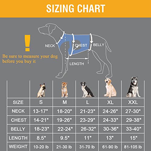 Coodeo Dog Lift Harness, Support & Recovery Sling, Pet Rehabilitation Lifts Vest Adjustable Breathable Straps For Old, Disabled, Joint Injuries, Arthritis, Paralysis Dogs Walk (Xxlarge) #TOP5