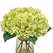 Blooming Paradise Artificial Fake Flowers Plants Silk Hydrangea 1 Flower Head 5Pcs Stem For Arrangements Wedding Bouquets Decorations Plastic Floral Table Centerpieces Home Kitchen Garden (Chartreuse)
