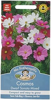 Mr Fothergill's 22494 Flower Seeds, Cosmos Dwarf Sensation Mixed