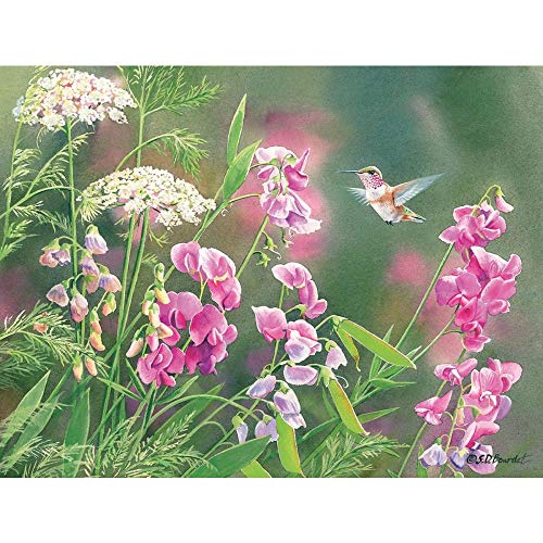 LANG - Wild Sweet Pea Boxed Note Cards, 13 Cards and Envelopes, Artwork by Susan Bourdet, 4