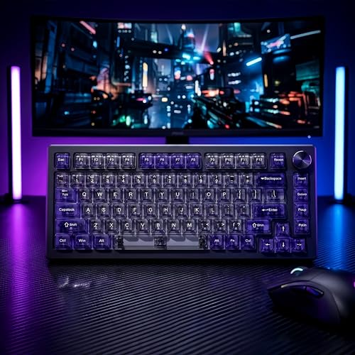 Image of dagaladoo Clear keycaps Set,Translucent Keyboard keycaps,Jelly Key caps