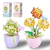 🌼 BLUMENSTRAUSS SET - Mini Bricks Blumen Set aus 672 Teilen. Miniatur-Bonsai-Baum-Gänseblümchen-Bausteine(284 Teile) ​​+ Miniatur-Bonsai-Baum-Chrysantheme-Bausteine(388 Teile). Nehmen Sie echte Blumen als Vorbilder und restaurieren Sie sie mit Bauklötzen. 2 verschiedene Sukkulenten, um Ihr Zimmer, Schlafzimmer, Büro, Arbeitszimmer oder Ihren Schreibtisch zu verschönern.