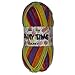 Price comparison product image James Brett Party Time Chunky Knitting Yarn 100g (Purple, Pink, Orange, Yellow, Blue & Green - PT1)